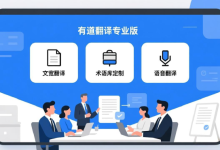 有道翻译词典支持查询会计准则术语吗？-网易有道翻译官网